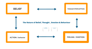 Negative Belief - Positive Behaviour Process